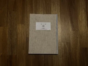 浅見優月さん『嘘エッセイ集 虚』